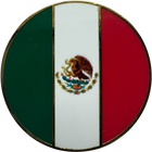 Mexican flag icon