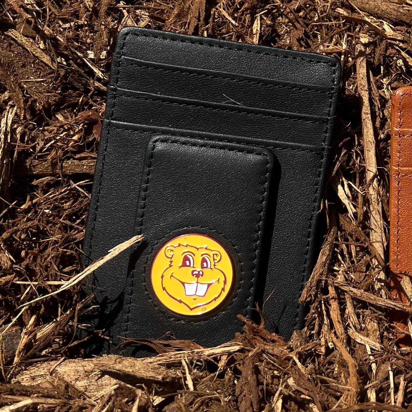 Icon Wallet: Minnesota Edition